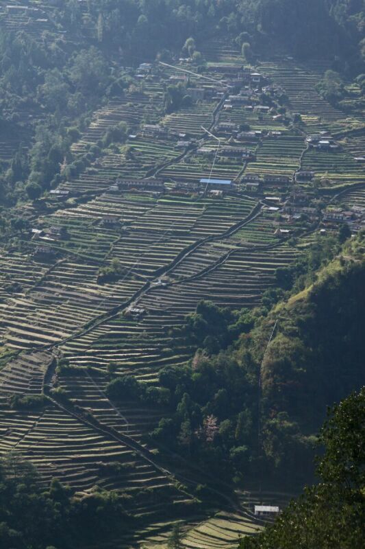 Pohled na polovinu vesnice Chomrung - cel se thne v kopci